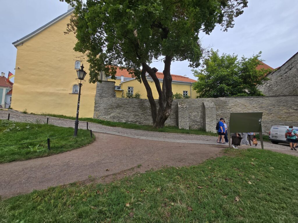 Foundation Stabilization of Historic Wall in Tallinn